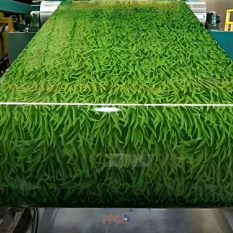 Grass pattern printed PPGI steel coil on continuous coating line