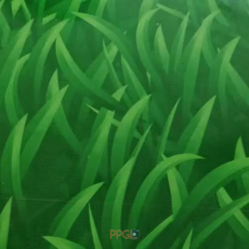 Green grass texture printed PPGI steel coil surface close-up