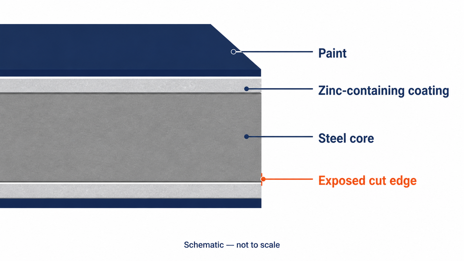 PPGI vs PPGL cut edge protection schematic showing zinc-containing coating, steel core and exposed cut edge